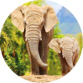 Grote ronde muursticker olifanten | safari wilde dieren | voor woonkamer en slaapkamer | wanddecoratie accessoires | cirkel afm. 80 x 80 cm