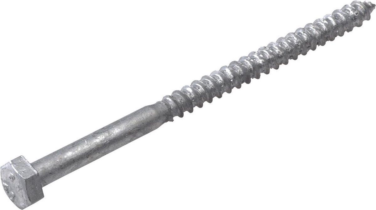 Houtdraadbout Thermisch verzinkt - 12x100mm - 50 stuks