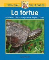 Gros plan sur la nature 39. la tortue