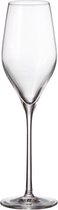 2x verres élégants PROSECCO Avila - Verres à vin en cristal de Bohême - lot de 2 pièces