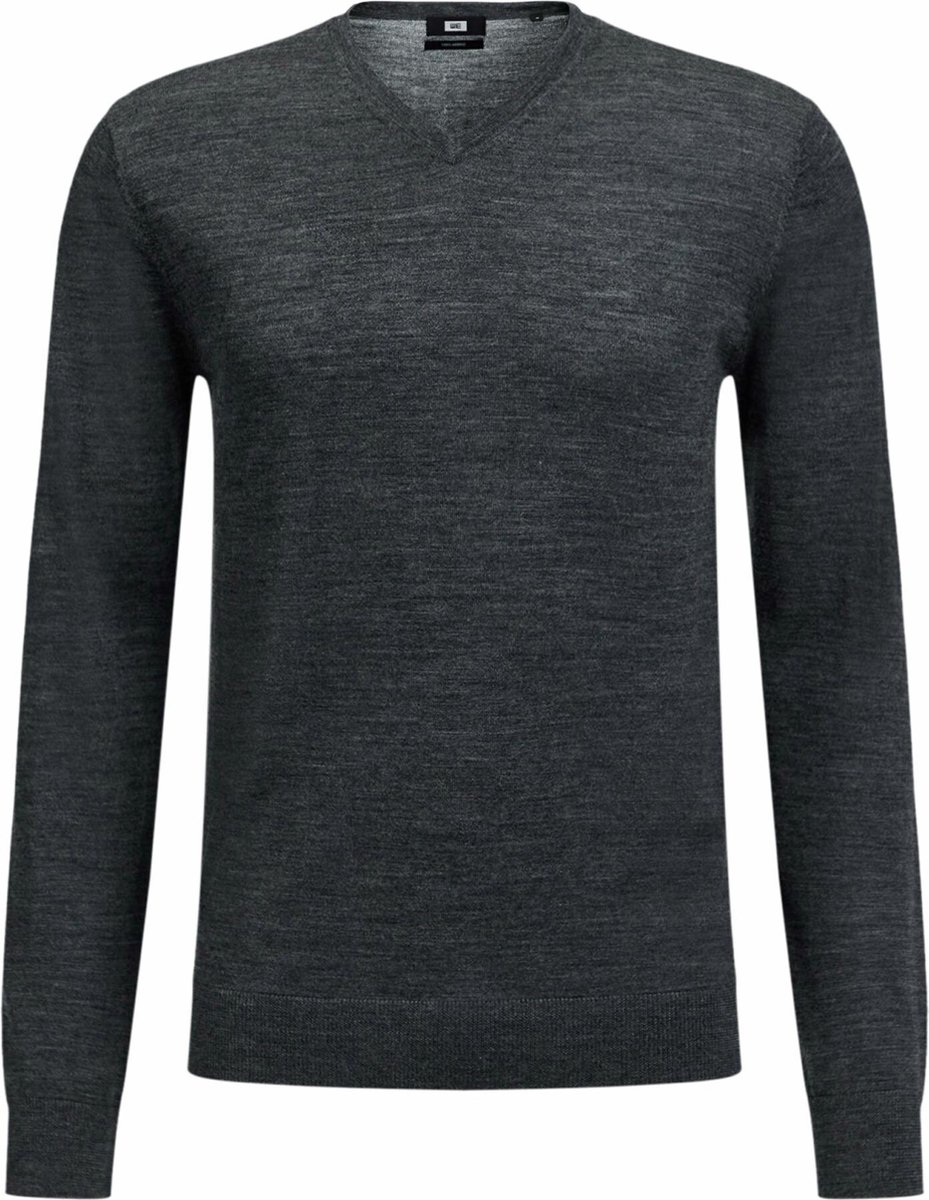 | WE Fashion Heren trui van merinowol Maat XXL HEREN MERINO WOL TRUI | 79882255 WE Fashion