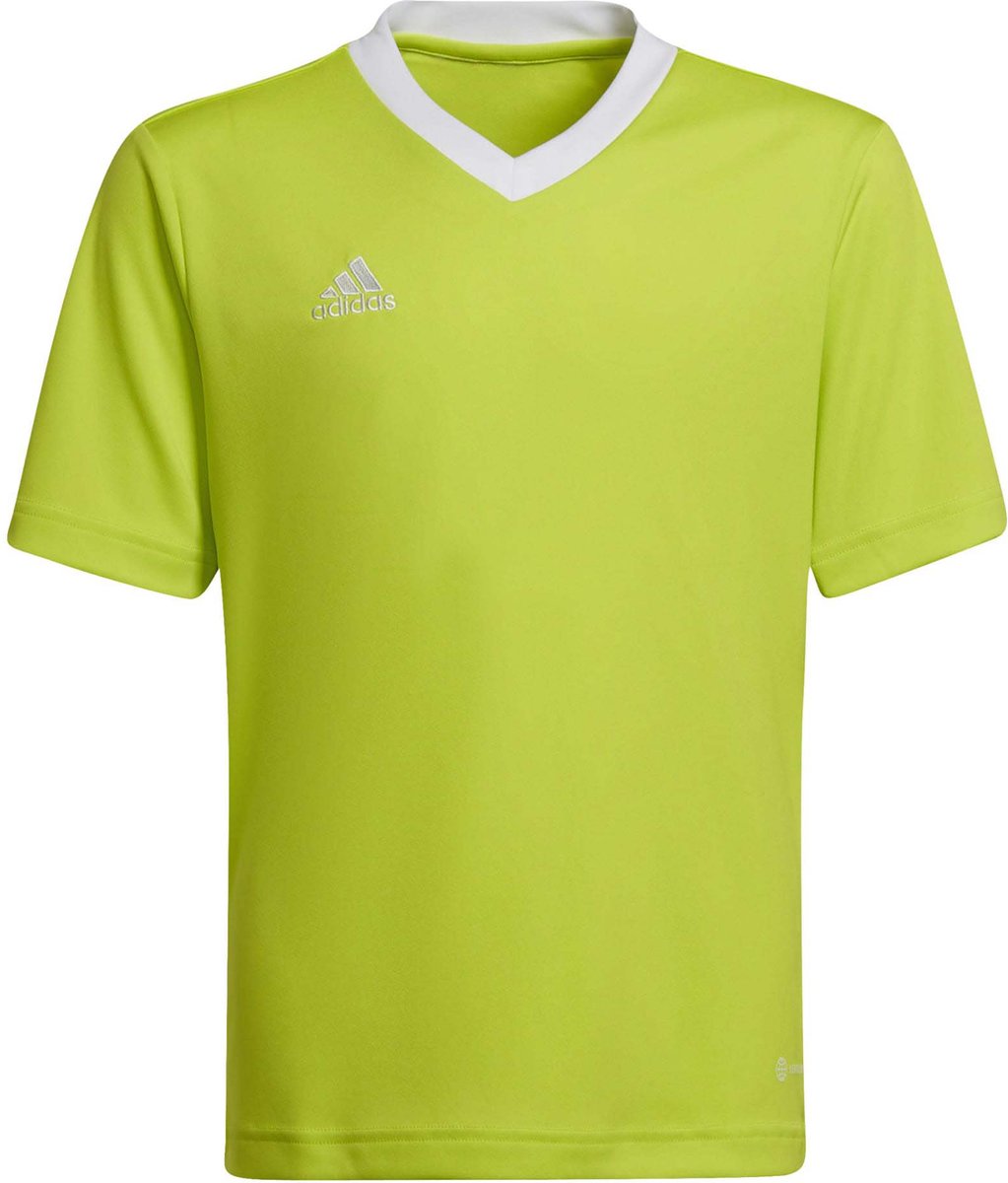 adidas - Entrada 22 Jersey Youth - Kids Groene Voetbalshirt -152