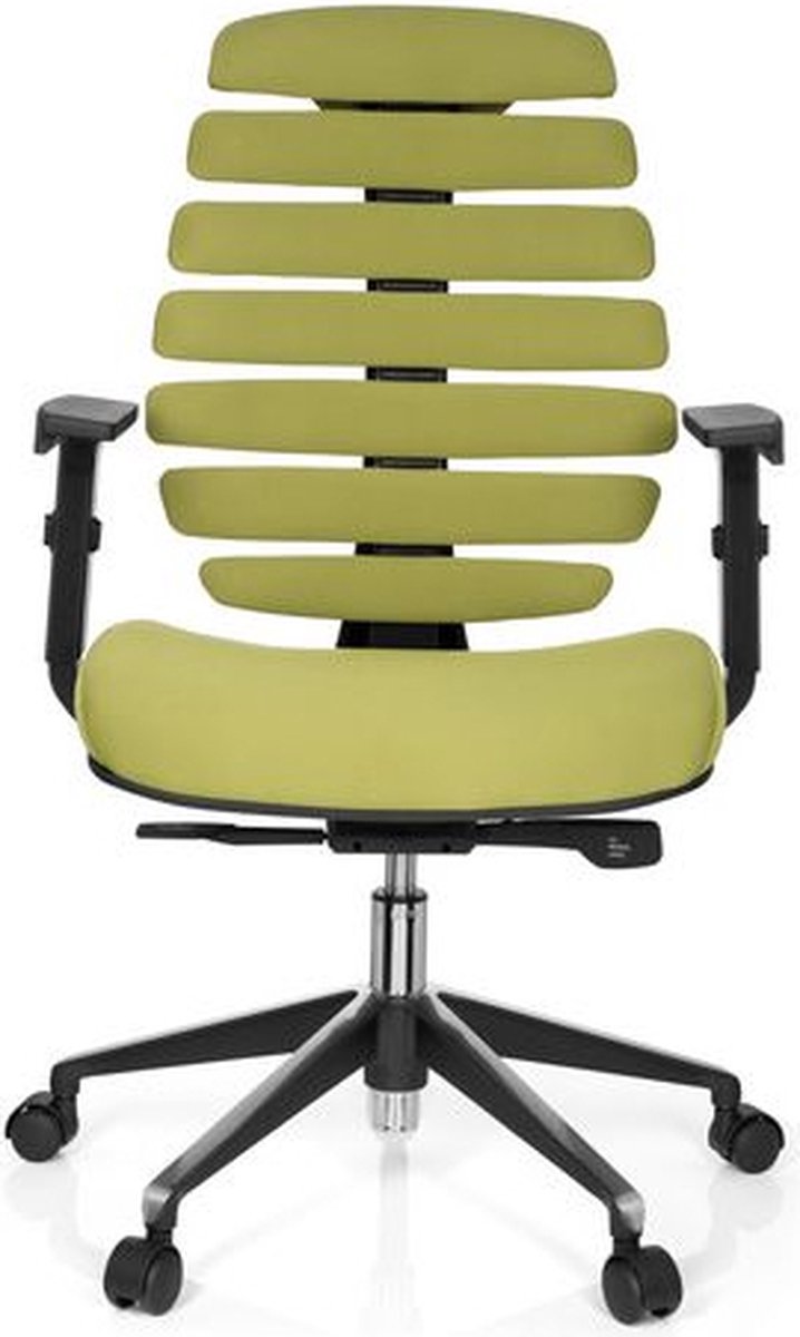 Ergonomische bureaustoel 101 model Ruggengraatstoel in Groen