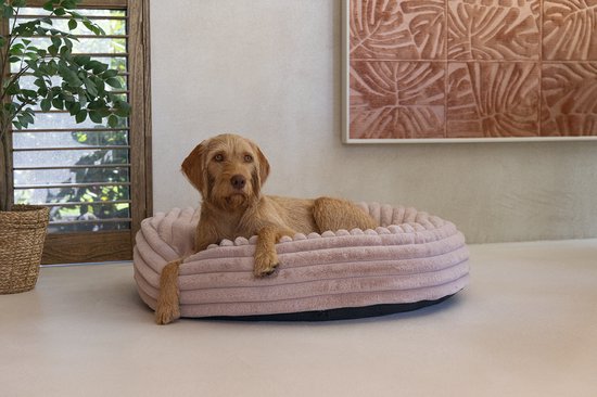 Bruine hond ligt op een roze, ribbelig hondenkussen met opstaande rand.