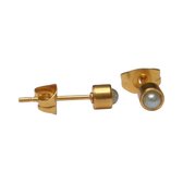 Aramat Jewels-Oorbellen-Licht Groene Parel Oorbellen goldplatedkleurig RVS--Default Title--