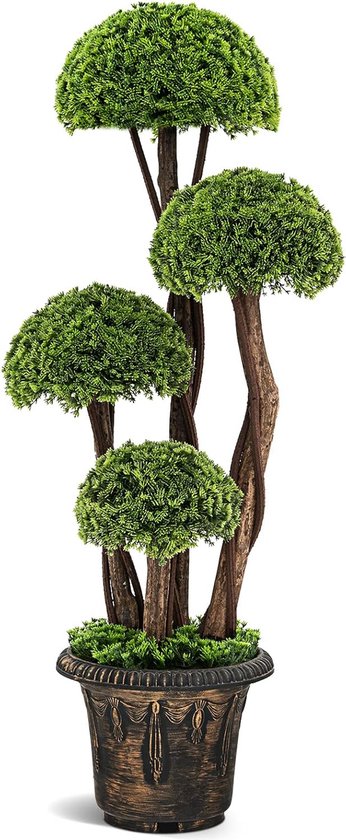 Welke planten in border geven je tuin de mooiste bloei