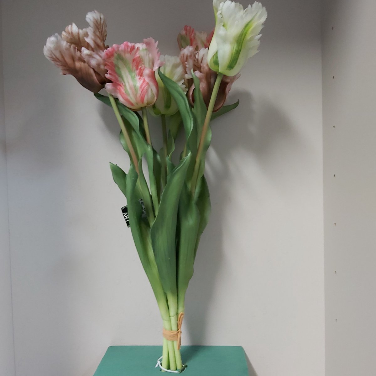 Nova Nature Papegaai tulp bundel van 6 stuks Sally 51cm lavendel combo