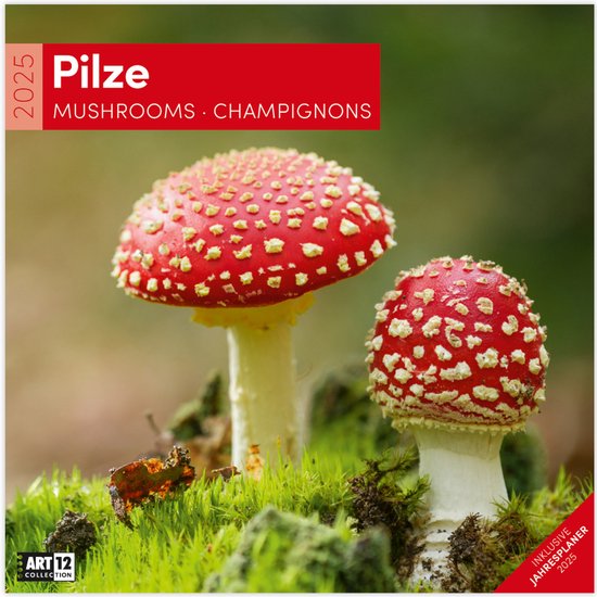 Foto: Ackermann kunstverlag pilze kalender 2025 30x30