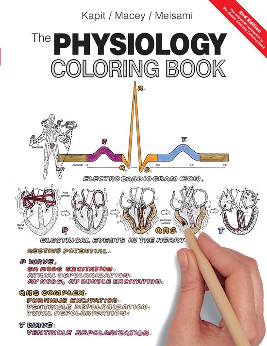 Physiology Colouring Book - cover