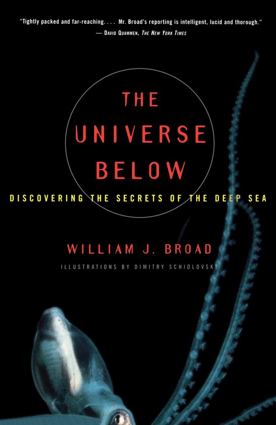 The Universe Below - cover
