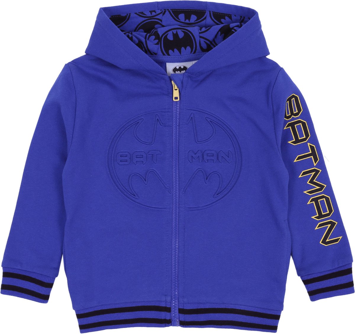 Blauw BATMAN DC COMICS zip-up sweatshirt