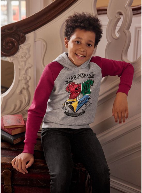 Pull, pull Harry Potter Emblèmes de Poudlard à capuche taille 12-14 ans