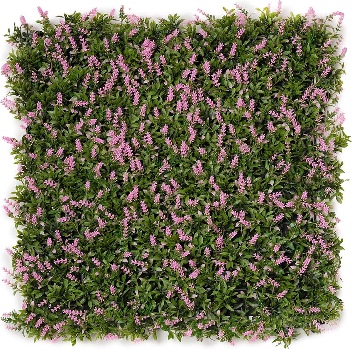 Kunsthaag plantenwand - Planten muur - Voor binnen en buiten - Buxus en Heide - 50 x 50 cm