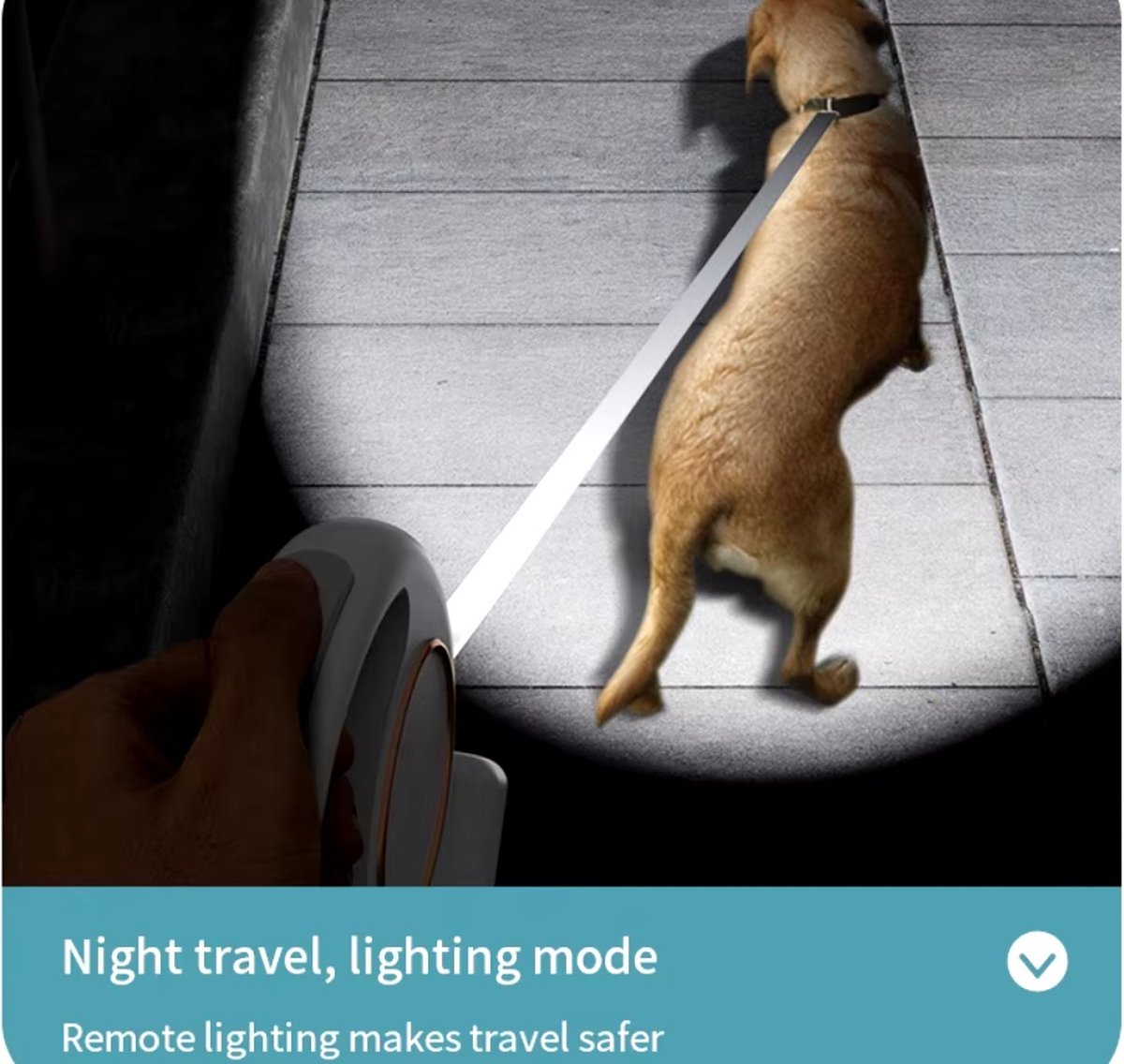 Nieuwe Aankomst hondenriem met 3 m touw en ledlicht thumbnail 4