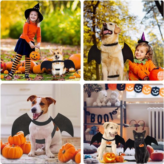 Vleermuis Halloween kostuum huisdier