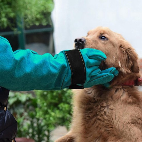 Dierenhandschoenen, anti-beet/krassen tuinieren wilde dieren beschermende handschoenen voor kat hond vogel slang papegaai hagedis, 36 cm