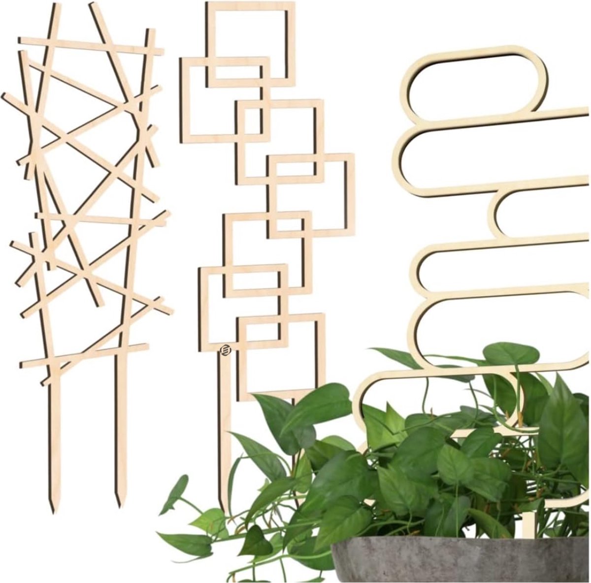 Equivera Klimrek Planten - Klimrek Planten Buiten Muur - Klimrek Planten Buiten - Klimrek Planten Tuin - Klimrek Nature - Plantenklimrek - Klimrek voor Planten - Must Have voor in de Tuin!