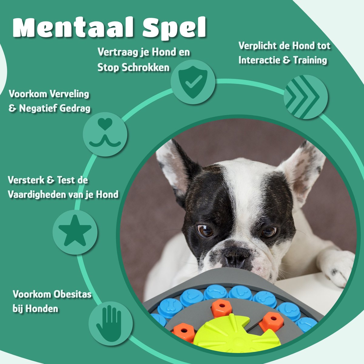 Mister Mill Puzzel Hond - Intelligentiespeelgoed Hond / Kat - Interactieve Hondenpuzzel - Denkspel Hond - Level 3 - Wiel van Woef - Interactieve Hond - Interactief Kattenspeelgoed - 35 x 35 CM — afbeelding 2