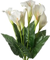 RNSUNH Kunstmatige Calla Lelie Bloemen 12 Stks 33,8 cm Lange Stem Calla Lelie Nep PU Bloem Calla Lelie Bruiloft Boeket voor Huisdecoratie Centerpieces Bruiloft Bruids DIY Boeket RNSUNH Kunstmatige Calla Lelie Bloemen 12 Stks 33,8 cm Lange Stem Calla Lelie Nep PU Bloem Calla Lelie Bruiloft Boeket voor Huisdecoratie Centerpieces Bruiloft Bruids DIY Boeket