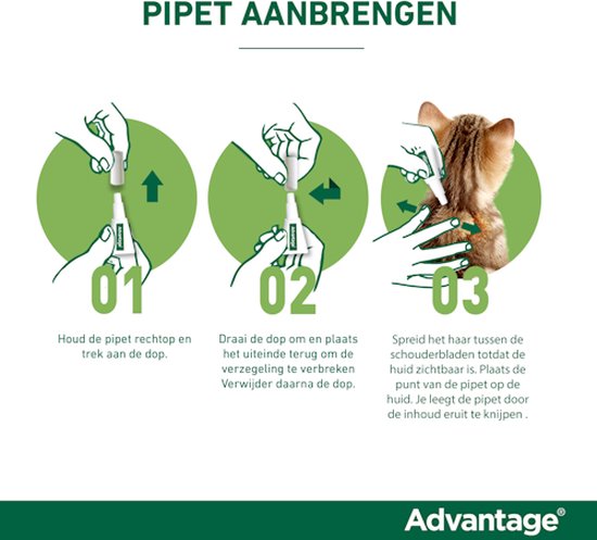 Advantage 40 Vlooiendruppels Kat tot 4 kg - 4 Pipetten