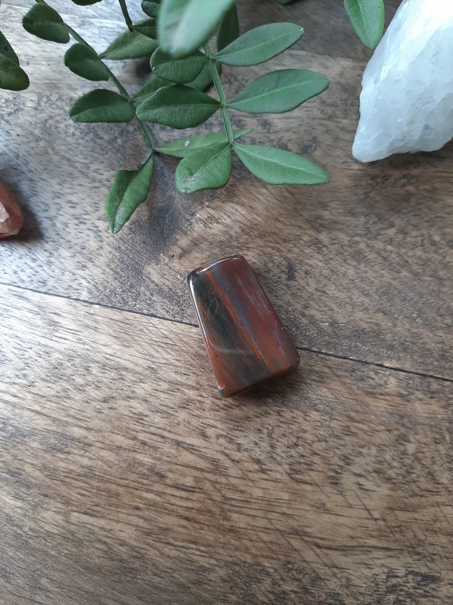 Doorboorde hanger Versteend hout