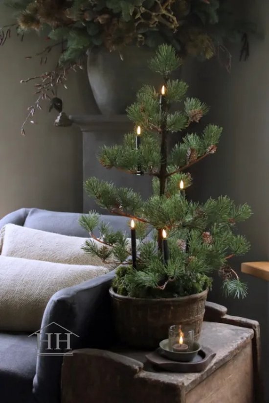 Vind kerstboom 150cm op - maart 2026