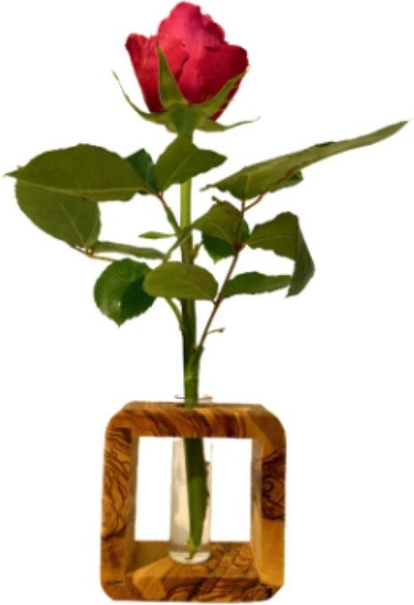 D.O.M. Bloemenvaas Design – Losse Bloem of Tak - Olijfhouten Decoratieve Kubus met Glazen Vaasje