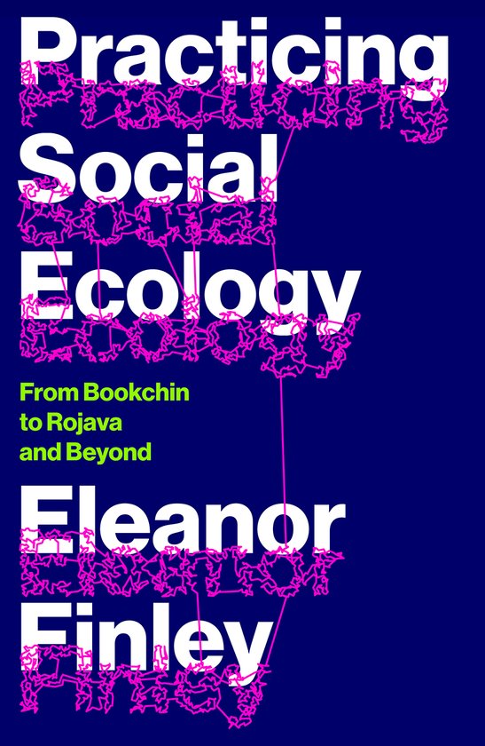 FireWorks- Practicing Social Ecology - cover