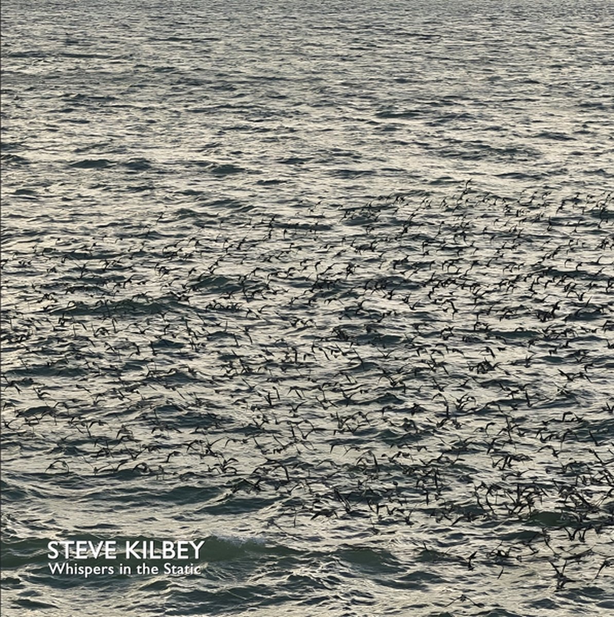 Steve Kilbey - Whispers In The Attic (2 LP) (Limited Edition) (Remastered)
