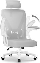 Hiaonyx bureaustoel-ergonomische bureaustoel-bureaustoelen voor volwassenenOpklapbare armleuningen-2D lendensteun-Maximale kanteling 135°-Grijs