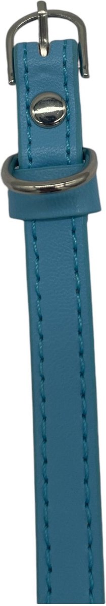 Kattenhalsband / Kleine Hondenhalsband - Blauw - Diameter 11 CM - Lengte 38 CM - Breedte 1 CM