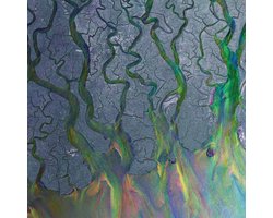 foto van Alt-J - An Awesome Wave (LP) (Coloured Vinyl)