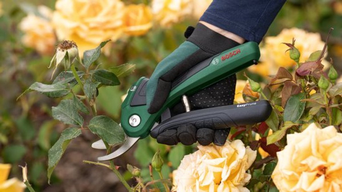 Bosch EasyPrune Accu snoeischaar - Met 3.6 V accu en USB lader