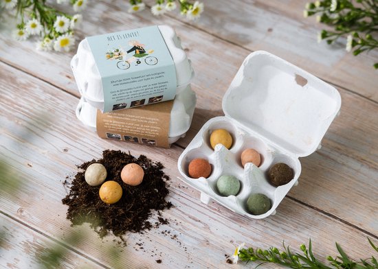 Blossombs Bloembommetjes Giftbox Mini - 4 Zaadbommetjes - Ik Vindt Je