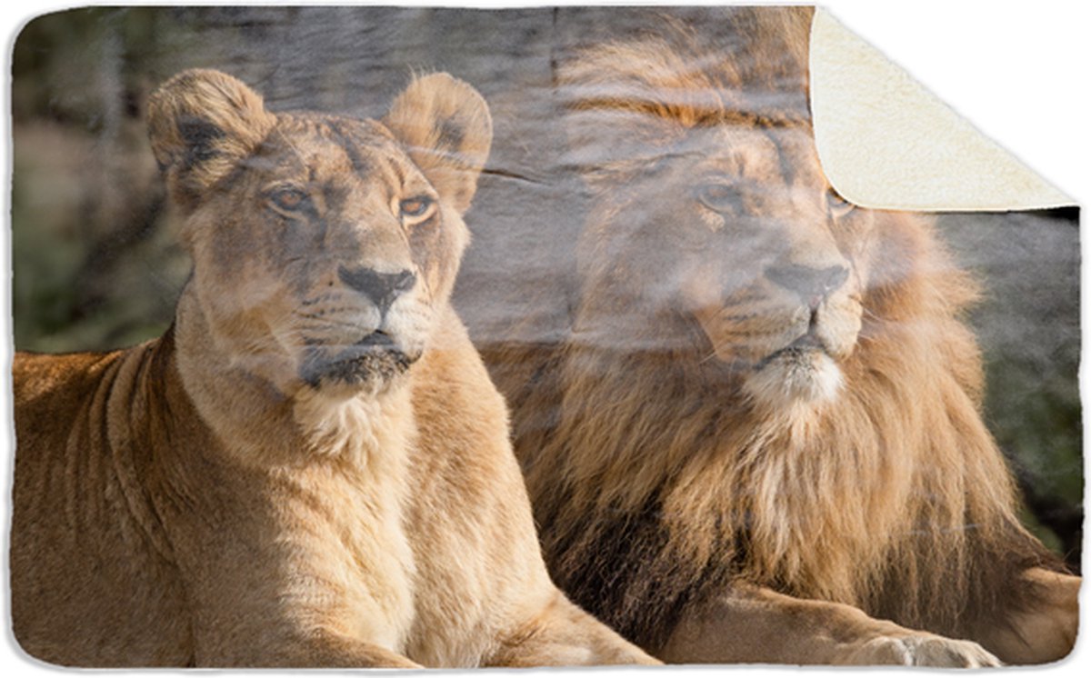 Fleecedeken Leeuwenstel, 96x146cm, Polyester Sherpa