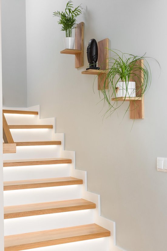 Dxbqm Woondecoratie Houten Planken Bloem Tuin Bamboe Plant