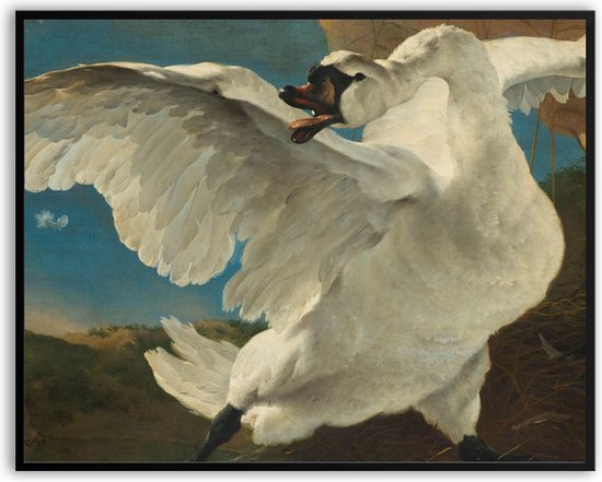 De Bedreigde Zwaan Jan Asselijn fotolijst met glas 40 x 50 cm