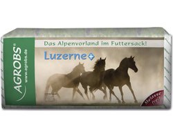 Agrobs Luzerne +