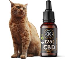 MCT CBD [125mg] - Kleine Kat | Pijn - Angst - Stress - Ontstekingsremmend - Bevordert eetlust en beweeglijkheid. Bevat géén THC!
