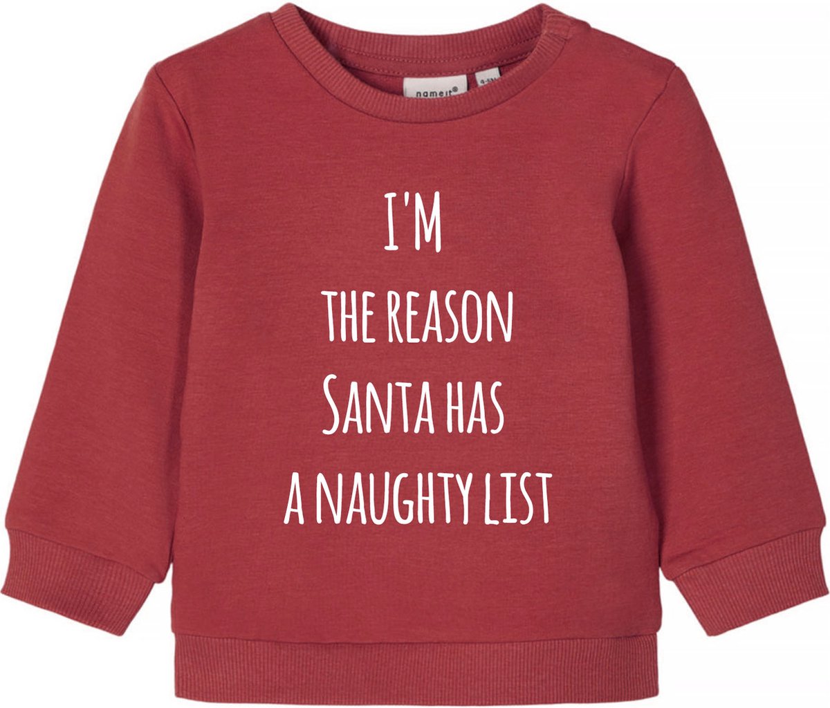 Strijkapplicatie _ Kerst _ I'm The Reason Santa Has A Naughty List