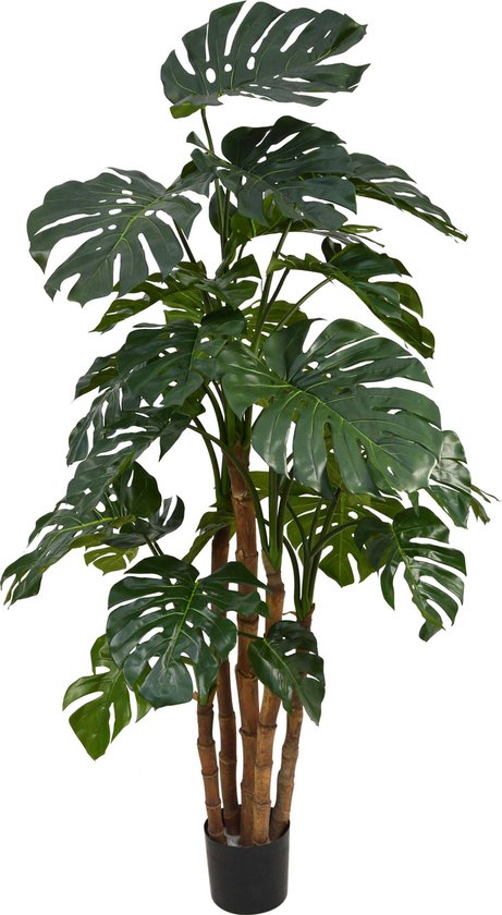 Designplants Monstera Plante artificielle 180