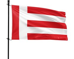 VlagDirect - Eindhoven vlag - Gemeente Eindhoven vlag - 90 x 150 cm.