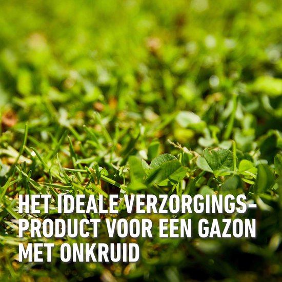 COMPO Gazonmeststof plus Onkruidbestrijder - lange werking 3 maanden - diepgroen gazon in 7 dagen - doos 1,5 kg (50 m²) — afbeelding 4