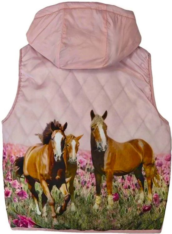 Gilet de sauvetage enfant rose léopard (4-6 ans) | Acheter sur