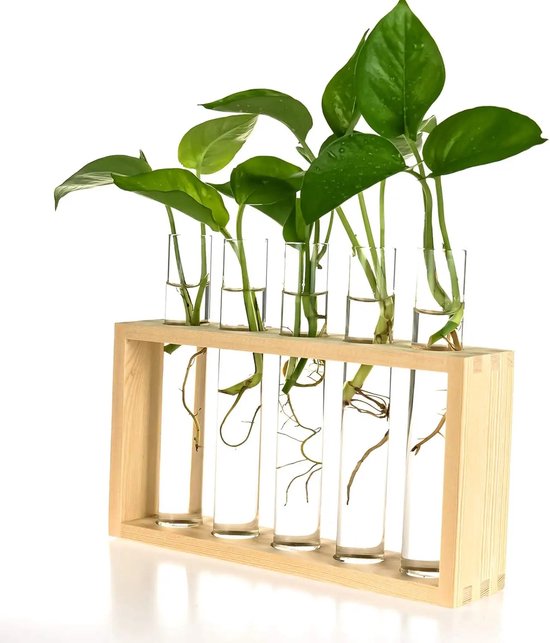 Station de découpe avec 5 tubes à essai - Bois - avec pinceau - Station de Stek - Verres - Vases - Boutures - Fleurs