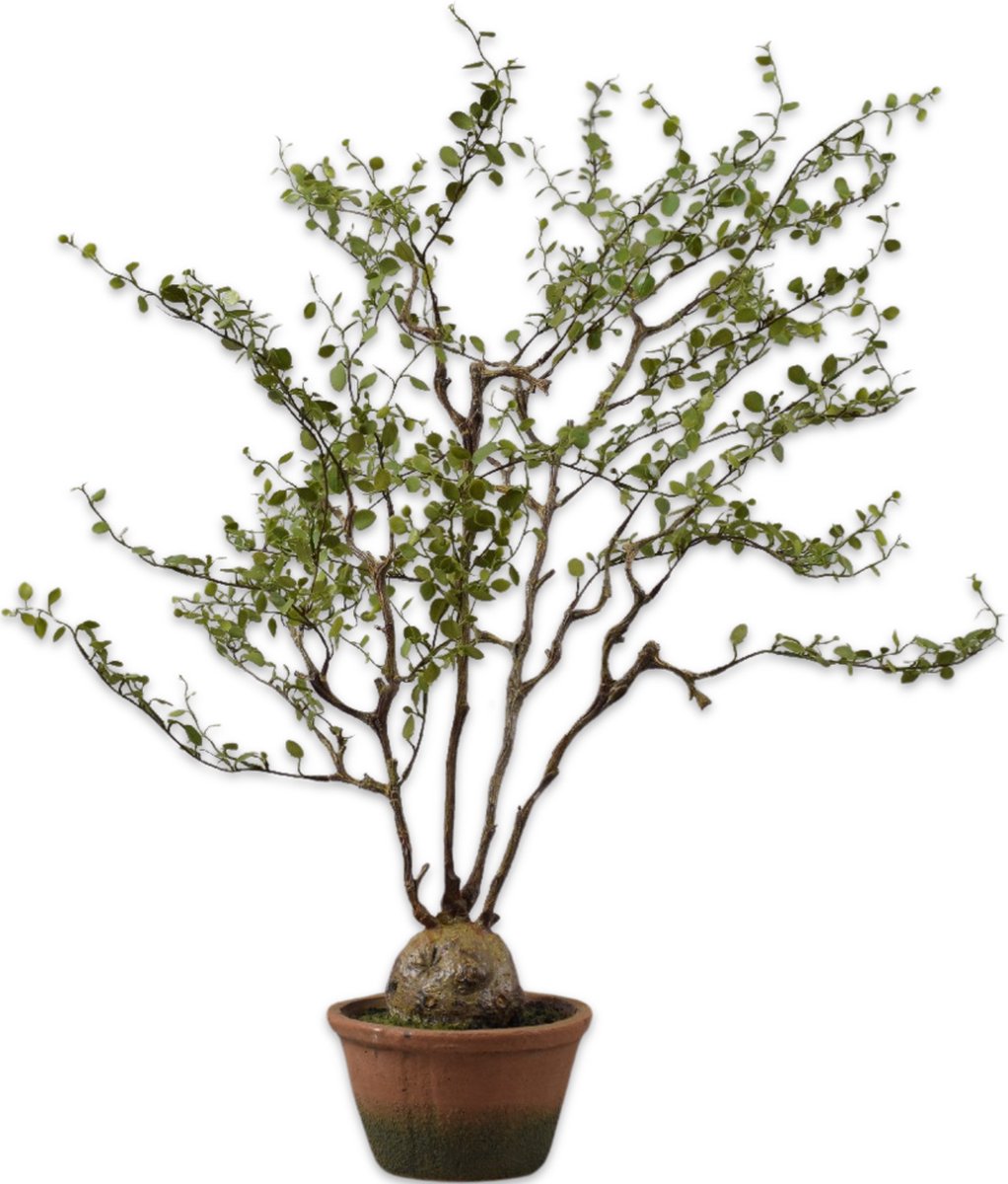 Silk-ka - Kunstplant - groen - H66 cm