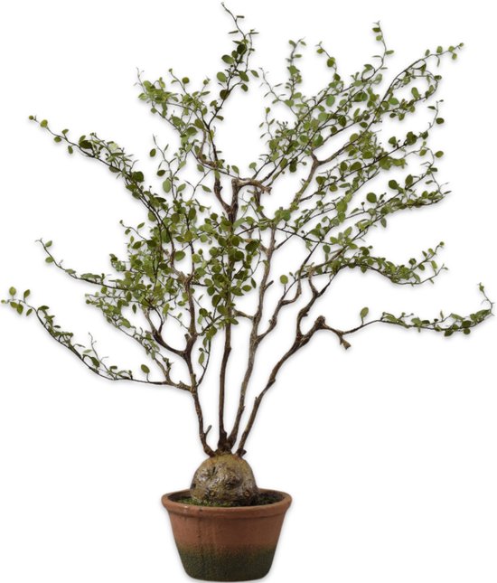 Silk-ka Kunstplant voor Binnen Muehlenbeckia Groen 66 cm