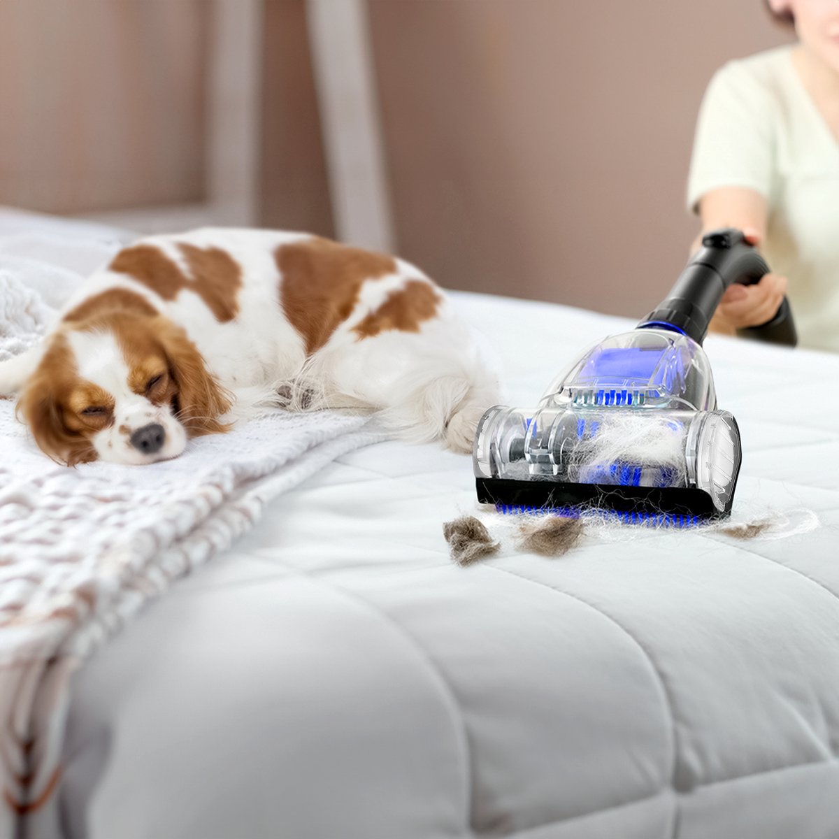 AG3100 Stofzuiger Zonder Zak - Stofzuigers - Vacuum Cleaner Zakloos - Geschikt Voor Dierenharen -900W - Sterke Zuigkracht - Blauw — afbeelding 5