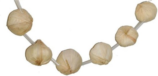 3x morceaux de collier d'ail - Trucs de costume de carnaval Thème Français/Dracula