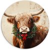 Beige, Highlander écossais